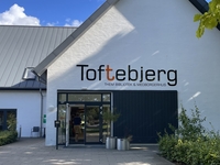 Røllikevej 3, 8653 Them
