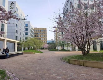 Borsbeeksebrug, Antwerpen