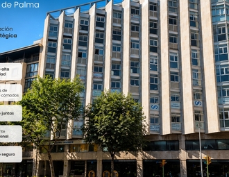 Avinguda d'Alexandre Rosselló, Palma de Mallorca