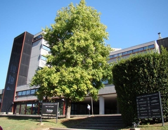 Viale Castello della Magliana, Municipio XI