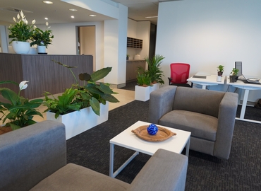 100 m² Business park in Bundall, Level 9 (4217) - 1 | MatchOffice.com