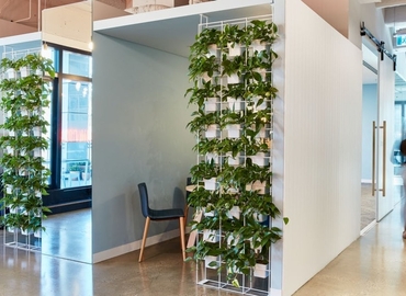 40 m² Serviced office property available to rent in Sydney, Carrington Street 50 (2000) - 0 | MatchOffice.com