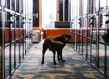 1 m² Co-working  in Melbourne Hawthorn, Church Street 22 (3122) - 6 | MatchOffice.com