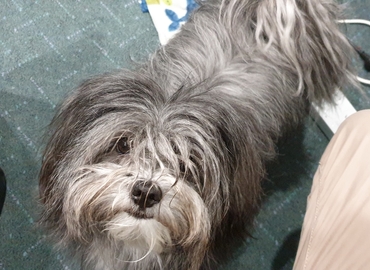 300 m² Business center in Perth, 64 Bannister Road (6155) - 4 | MatchOffice.com