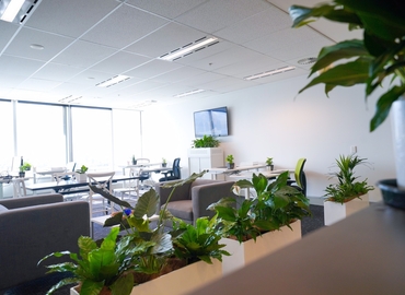100 m² Shared office  in Bundall, Level 9 (4217) - 8 | MatchOffice.com