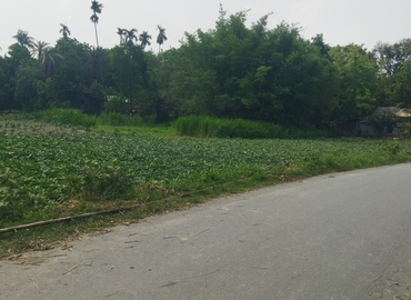 Office R54M+59C 1822 Dhaka