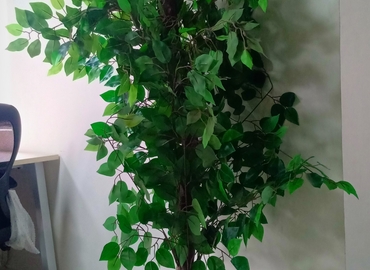 Rent suitable a 235 m² Shared office  in Lucknow, Floor no. 3-C (208002) - 23 | MatchOffice