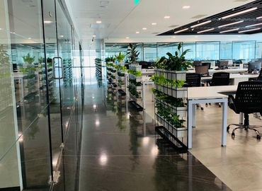 60000 m² Serviced office building up for rent in New Delhi, D21  Corporate Park (110077) - 7 | MatchOffice