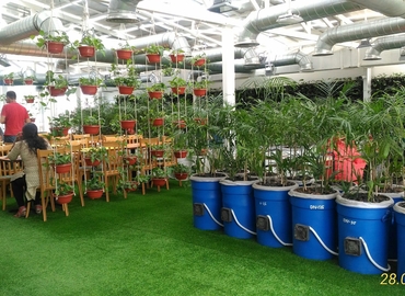 Virtual office space in New Delhi, Eros Corporate Tower (110019) - 11 | MatchOffice.com