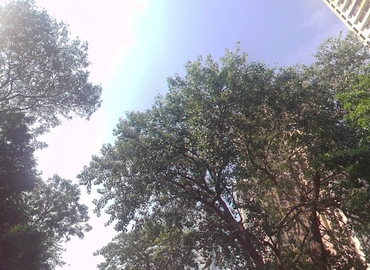 15000 m² Co-working  in Mumbai Central, 3rd Floor (400012) - 7 | MatchOffice.com