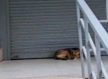 43 m² Shop for rent in Noida, Sector 50 (201301) - 3 | MatchOffice.com