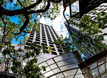 70 m² Business park in Wellington, Level 15 HP Tower (6011) - 12 | MatchOffice