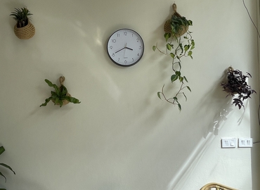 1000 m² Coworking  in Koh Samui, ตำบล บ่อผุด (84320) - 14 | MatchOffice.com