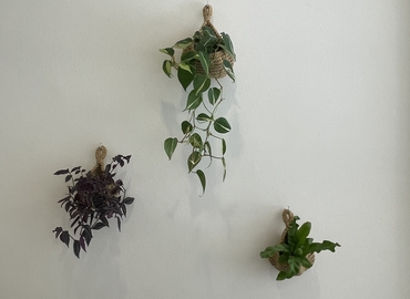 1000 m² Shared workspace  in Koh Samui, ตำบล บ่อผุด (84320) - 16 | MatchOffice.com