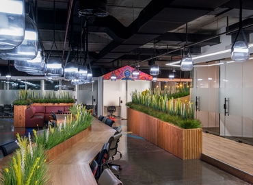 50 m² Business park in Dubai, Level 5 (%[postal_code]) - 3 | MatchOffice.com