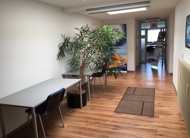 250 m² Shared workspace  in Salzburg, Sterneckstraße 55 (5020) - 1 | MatchOffice