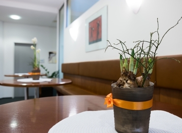  Coworking zu vermieten in Graz, Liebenauer Hauptstrasse 2-6, 30 m², 15