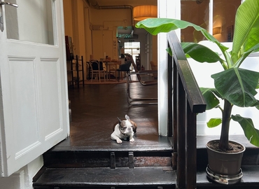  Coworking  zur Miete in Wien, Wipplingerstraße 25, 36 m², 4