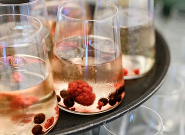 Büro Gonzagagasse 1 1010 Wien