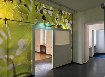 Büro zu vermieten in Wien, Schönbrunner Straße 13, 177 m²