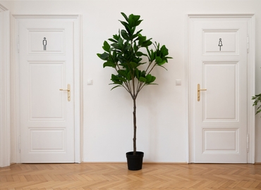 Office Franz-Josefs-Kai 49 1010 Vienna