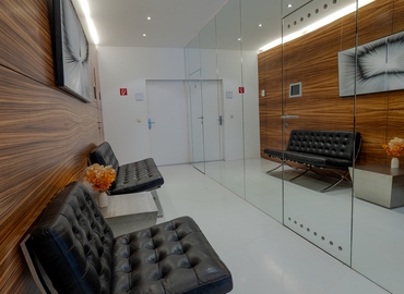 Coworking Space zu vermieten in Wien, Trautsongasse, 100 m²