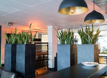 Business center à louer à Anvers, Franklin Rooseveltplaats 12 bus 24, 33 m², - 10 | MatchOffice.be