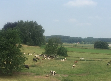 Conferentiezaal te huur  Tervuren, Heidestraat 53, 300 m², - 9 | MatchOffice.be