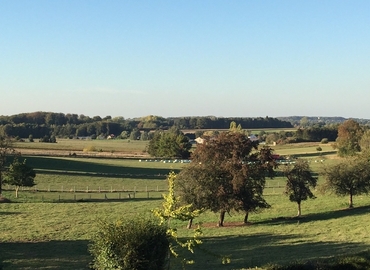 Salle de conférence à louer à Tervuren, Heidestraat 53, 300 m², - 8 | MatchOffice