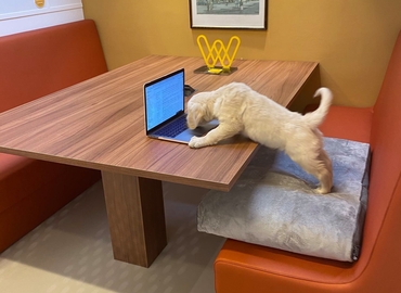 Coworking à louer à Gand, Eedverbondkaai 242, 50 m², - 7 | MatchOffice.be