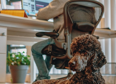 Bureaux à louer à Gand, Stapelplein 70, 90 m², - 4 | MatchOffice.be