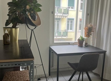 Zurlindenstrasse 215A, coworking Zürich, 7