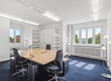 Toblerstrasse 80,  Coworking Zürich Altstadt, 6
