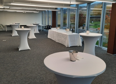 Z. A. La Pièce 1, Salle de conférence Rolle