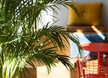 1500 m² Shared workspace  in Zürich Bahnhof, Talacker 41 (8001) - 10 | MatchOffice