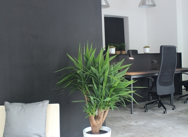 Veteranenstraße 12, Business Center in Berlin Mitte, 2