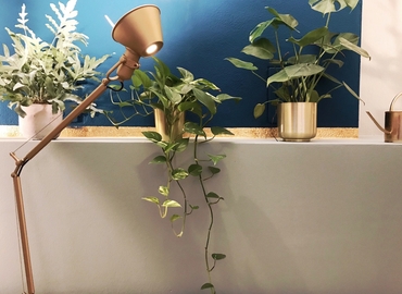 Amalienstraße 71, Business Center in München Flughafen, 4