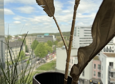 Grafenberger Allee,  Virtuelles Büro in Düsseldorf Flingern Nord, 1