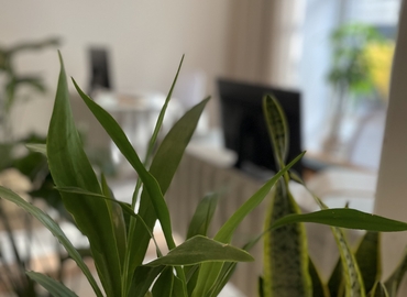Häberlstraße 26, Coworking Space in Ludwigsstadt, 3