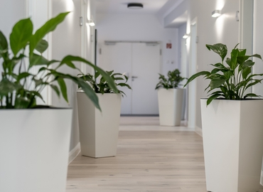 Knorrestraße 5, Business Center in Hamburg St. Georg, 8