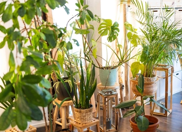 Reinsburgstraße 66,  Besprechungsraum in Stuttgart, 14