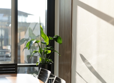  Meeting room in Dresden, Blasewitzer Strasse 41 (01307) - 4 | MatchOffice