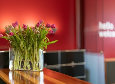 30 m² Business center in Dresden, Blasewitzer Straße 41 (01307) - 3 | MatchOffice.com