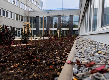 24 m² Coworking  in Steglitz-Zehlendorf, Fabeckstraße 62 (12203) - 9 | MatchOffice.com