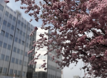 Grafenberger Allee 277-287, Virtuelle Geschäftsadresse in Düsseldorf Flingern Nord
