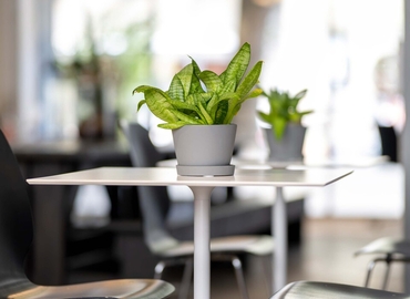 500 m² Coworking space  in Berlin Prenzlauer Berg, Pappelallee (10437) - 6 | MatchOffice