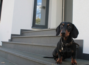 Schackstraße 8, Büro mieten in Hannover