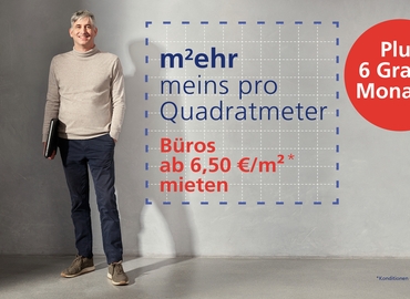 1250 m² Business park in Mannheim, Carl-Reuther-Straße 1-3 (68305) - 0 | MatchOffice.com