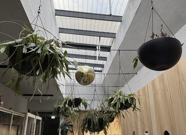 Linienstraße 86, Büro mieten in Berlin Mitte