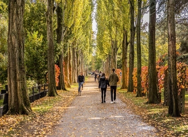 Office Struenseegade 15A 2200 Copenhagen N